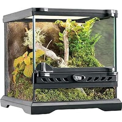 Exo Terra Nano Terrarium, Czarny/Przezroczysty, 20 x 20 x 20 cm Exo Terra Nano Terrarium, Czarny/Przezroczysty, 20 x 20 x 20 cm