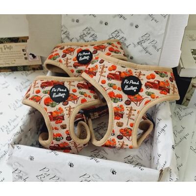 Pet Pooch Boutique Uprząż dla psa z dynią XS Pet Pooch Boutique Uprząż dla psa z dynią XS