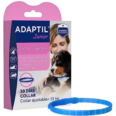 ADAPTIL Junior Antystres dla szczeniąt adaptacja do domu, uczenie się, Edukacja, Płacze, Sam Naszyjnik dla szczeniąt ADAPTIL Junior Antystres dla szczeniąt adaptacja do domu, uczenie się, Edukacja, Płacze, Sam Naszyjnik dla szczeniąt