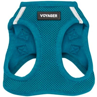 Best Pet Supplies Voyager Step-In Air Uprząż dla psa od siatka na każdą pogodę, uprząż kamizelki dla małych i średnich psów, turkusowa, rozmiar XS, klatka piersiowa: 33-36,8 cm Best Pet Supplies Voyager Step-In Air Uprząż dla psa od siatka na każdą pogodę, uprząż kamizelki dla małych i średnich psów, turkusowa, rozmiar XS, klatka piersiowa: 33-36,8 cm