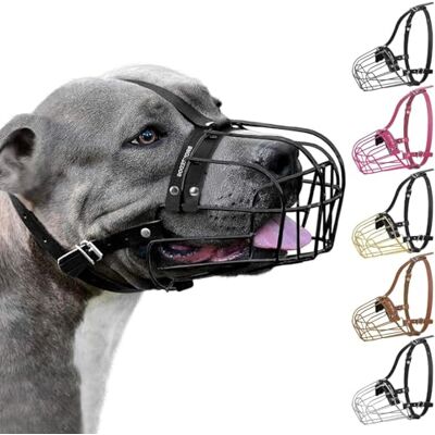 BRONZEDOG Pitbull Kaganiec dla psa metalowa maska Amstaff kosz druciany Pit Bull regulowane skórzane paski dla dużych psów (czarna) BRONZEDOG Pitbull Kaganiec dla psa metalowa maska Amstaff kosz druciany Pit Bull regulowane skórzane paski dla dużych psów (czarna)