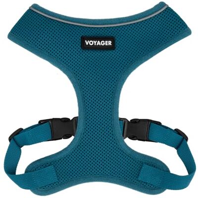 Best Pet Supplies Voyager Aerolite uprząż dla psa bez ciągnięcia, z lekką, miękką, oddychającą, odblaskowymi szwami i regulowanymi paskami do chodzenia, biegania, treningu, wytrzymała i trwała, turkusowa, rozmiar XS Best Pet Supplies Voyager Aerolite uprząż dla psa bez ciągnięcia, z lekką, miękką, oddychającą, odblaskowymi szwami i regulowanymi paskami do chodzenia, biegania, treningu, wytrzymała i trwała, turkusowa, rozmiar XS