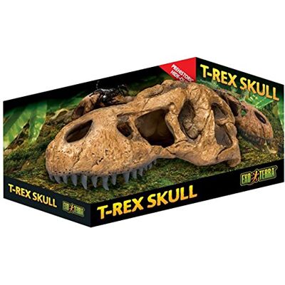 Exo Terra 0015561228596 Czaszka Do Terrarium, 25.4 x 14.48 x 12.7 cm, Brązowy Exo Terra 0015561228596 Czaszka Do Terrarium, 25.4 x 14.48 x 12.7 cm, Brązowy