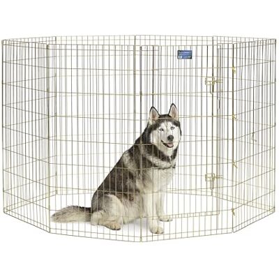MidWest Homes for Pets MidWest składany metalowy kojec do ćwiczeń dla psów/kojec dla zwierząt domowych z drzwiami; 60,96 szer. x 121,92 cm wys. cm; złoty cynk; 548-48 MidWest Homes for Pets MidWest składany metalowy kojec do ćwiczeń dla psów/kojec dla zwierząt domowych z drzwiami; 60,96 szer. x 121,92 cm wys. cm; złoty cynk; 548-48