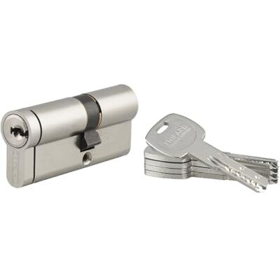 Thirard Transit 2 podwójne wejście cylinder zamka, 30x40mm, nikiel, zapobiegający odrywaniu, przeciw wierceniu, przeciw zamkowaniu, 5 kluczy Thirard Transit 2 podwójne wejście cylinder zamka, 30x40mm, nikiel, zapobiegający odrywaniu, przeciw wierceniu, przeciw zamkowaniu, 5 kluczy