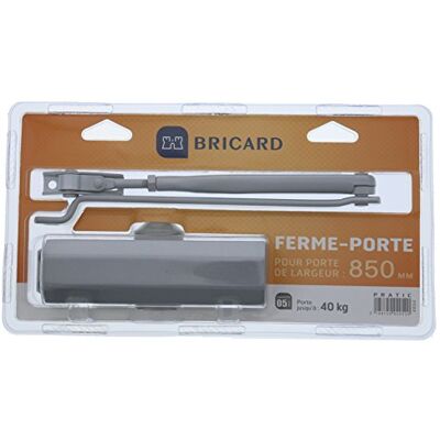 Bricard F2-4 Argt Bras Std - Zamknięcie drzwi Bricard F2-4 Argt Bras Std - Zamknięcie drzwi