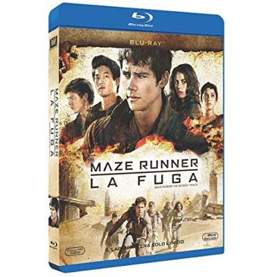 Fox Maze Runner La Fuga Fox Maze Runner La Fuga