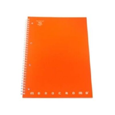 Pigna 8005235078680 notatnik maxi, perforowany, format A4, liniatura 1R, linijka One Lineo, wielokolorowy Pigna 8005235078680 notatnik maxi, perforowany, format A4, liniatura 1R, linijka One Lineo, wielokolorowy