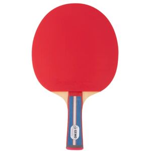 600300001 GEWO Standard PRO rakieta do tenisa stołowego – kontrolowana rakietka do tenisa stołowego dla początkujących – kompletna rakietka z powłoką Lion ITTF, wysoka kontrola i prędkość, uchwyt wklęsły, 1,8 600300001 GEWO Standard PRO rakieta do tenisa stołowego – kontrolowana rakietka do tenisa stołowego dla początkujących – kompletna rakietka z powłoką Lion ITTF, wysoka kontrola i prędkość, uchwyt wklęsły, 1,8