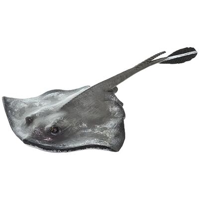 Safari Ltd. Safari Ltd 100507 Incredible Creatures Sting Ray Safari Ltd. Safari Ltd 100507 Incredible Creatures Sting Ray