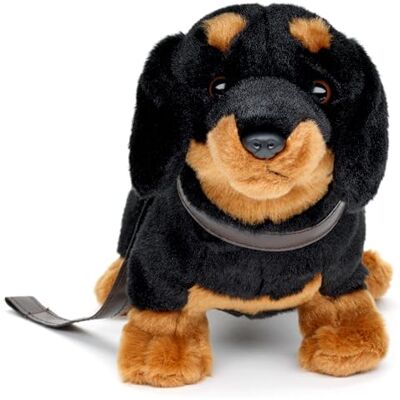 Uni-Toys jamnik, stojący (z smyczą) 28 cm (długość) pluszowy pies, zwierzę domowe pluszowa zabawka, przytulanka Uni-Toys jamnik, stojący (z smyczą) 28 cm (długość) pluszowy pies, zwierzę domowe pluszowa zabawka, przytulanka