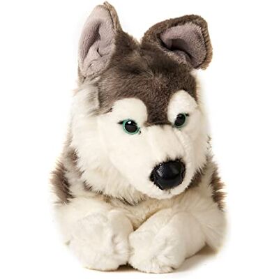 Uni-Toys Leżący Husky 40 cm (długość) Pluszowy pies, zwierzę domowe przytulanka Uni-Toys Leżący Husky 40 cm (długość) Pluszowy pies, zwierzę domowe przytulanka