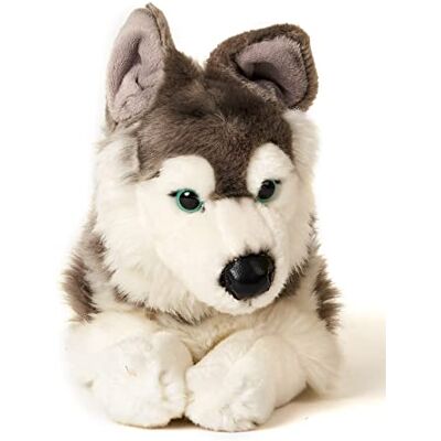 Uni-Toys Husky szary, leżący 43 cm (długość) Pluszowy pies, zwierzę domowe przytulanka Uni-Toys Husky szary, leżący 43 cm (długość) Pluszowy pies, zwierzę domowe przytulanka