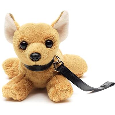 Uni-Toys Chihuahua Pluszowy (ze smyczą) 20 cm (długość) Pluszowy pies, zwierzę domowe, przytulanka Uni-Toys Chihuahua Pluszowy (ze smyczą) 20 cm (długość) Pluszowy pies, zwierzę domowe, przytulanka