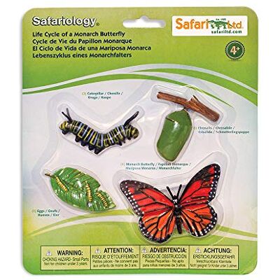 Safari Ltd. Safari Cykl Życia Motyla Zestaw Naukowy, Od 4 Lat Safari Ltd. Safari Cykl Życia Motyla Zestaw Naukowy, Od 4 Lat