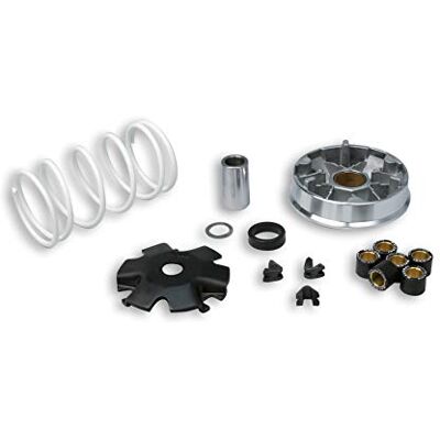 MALOSSI Variator Multivar do Kymco Super 8 4-suwowy (Euro 2), sprężyna przeciwciśnieniowa: biała, waga: 16 x 13 mm 6,00 g MALOSSI Variator Multivar do Kymco Super 8 4-suwowy (Euro 2), sprężyna przeciwciśnieniowa: biała, waga: 16 x 13 mm 6,00 g