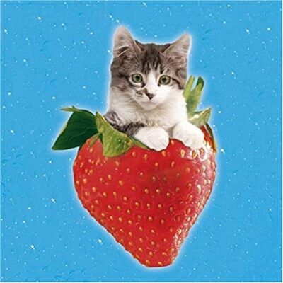Clementoni 5302604 – Strawberry Kitten, 500 części Clementoni 5302604 – Strawberry Kitten, 500 części