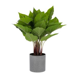 Kave Home - Sztuczna roslina Anthurium z doniczka cementowa 50 cm