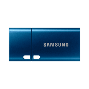 Samsung USB-C 3.1 2022 Flash drive 128 GB - Blue - Size: 128 GB