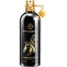 Montale Arabians Tonka