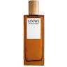 Loewe Pour Homme