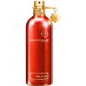 Montale Red Aoud