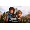 Brothers: A Tale of Two Sons Remake