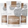 FutuNatura 3x BIO Soplówka jeżowata (lion's mane) - grzyb w proszku, razem 300 g