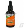 NOW Foods Echinacea Extract - 60ml