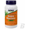 NOW Foods Dopa Mucuna - 90 kaps.