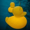 Goodnight Light Lampa designerska LED DUCK-DUCK XL żółta