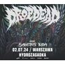 Dropdead   Warszawa