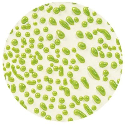 Amaco Crawls Cr-41 Lime Amaco Crawls Cr-41 Lime