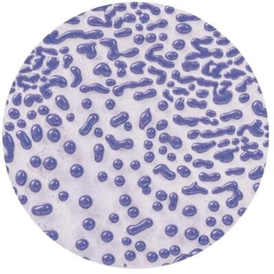 Amaco Crawls Cr-54 Purple Amaco Crawls Cr-54 Purple