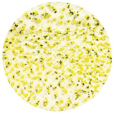 Amaco Crawls Cr-61 Speckled Yellow Amaco Crawls Cr-61 Speckled Yellow