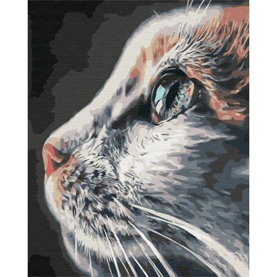 Artnapi 40x50cm Zestaw Do Malowania Po Numerach - Profil kota - Na Drewnianej Ramie Artnapi 40x50cm Zestaw Do Malowania Po Numerach - Profil kota - Na Drewnianej Ramie