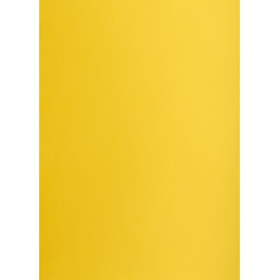 Hamelin Brystol B2 Ciemnożółty 225g/m2 1 Arkusz Do Prac Plastycznych Oxford 58 Hamelin Brystol B2 Ciemnożółty 225g/m2 1 Arkusz Do Prac Plastycznych Oxford 58