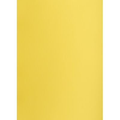Hamelin Brystol B2 Żółty 225g/m2 1 Arkusz Do Prac Plastycznych Oxford 57 Hamelin Brystol B2 Żółty 225g/m2 1 Arkusz Do Prac Plastycznych Oxford 57