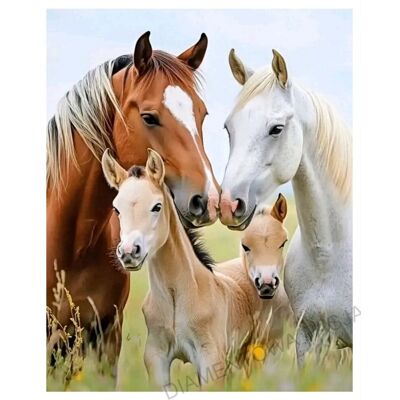 DIAMENTOWA PASJA Haft Diamentowy Koniki Koń Konie Diamond Painting Mozaika diamentowa zwierzęta DIAMENTOWA PASJA Haft Diamentowy Koniki Koń Konie Diamond Painting Mozaika diamentowa zwierzęta