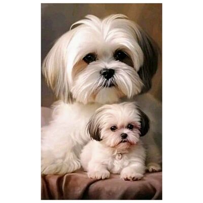Diamentowa Pasja Haft Diamentowy Obraz Diamentowy Mozaika Diamentowa Shih Tzu Pies Pieski Diamentowa Pasja Haft Diamentowy Obraz Diamentowy Mozaika Diamentowa Shih Tzu Pies Pieski