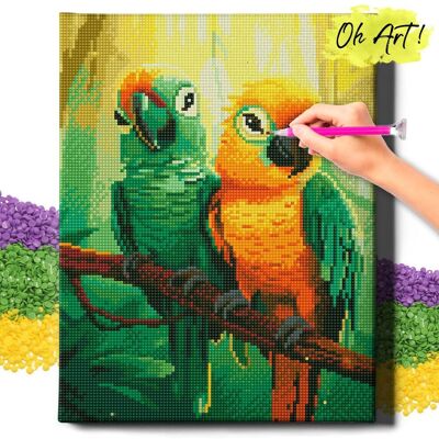 DIAMOND PAINTING 5D z RAMĄ Papugi na gałęzi Haft Diamentowy 30x40 Mozaika Ptaki Oh Art! DIAMOND PAINTING 5D z RAMĄ Papugi na gałęzi Haft Diamentowy 30x40 Mozaika Ptaki Oh Art!
