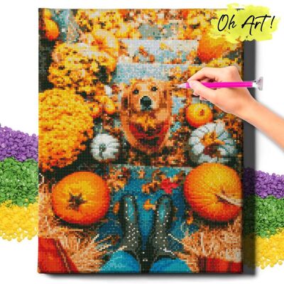 Oh Art! Diamond Painting 5D Z Ramą Pies Haft Diamentowy Duży Retriever I Dynie Mozaika 40X50 Cm Oh Art! Diamond Painting 5D Z Ramą Pies Haft Diamentowy Duży Retriever I Dynie Mozaika 40X50 Cm
