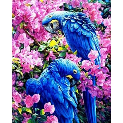 Moments Haft Diamentowy Niebieskie Kakadu 45x55 cm Moments Haft Diamentowy Niebieskie Kakadu 45x55 cm