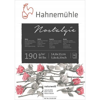 Papier artystyczny Hahnemühle 10628209 - 50 kartek Papier artystyczny Hahnemühle 10628209 - 50 kartek