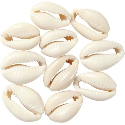 Inny producent Plastikowe muszle do łańcuszka Creotime białe unisex 2 cm 12 sztuk Inny producent Plastikowe muszle do łańcuszka Creotime białe unisex 2 cm 12 sztuk
