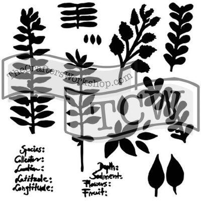 The Crafter`s Workshop, Inc. Szablon, zielnik, 30,5 cm The Crafter`s Workshop, Inc. Szablon, zielnik, 30,5 cm