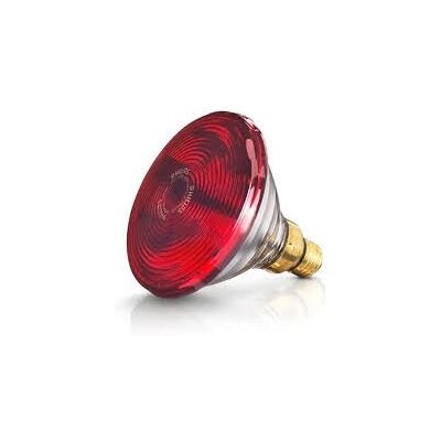 Beurer IL 21 150W Lampa Podczerwieni - Ogrzewanie Podczerwienią Beurer IL 21 150W Lampa Podczerwieni - Ogrzewanie Podczerwienią