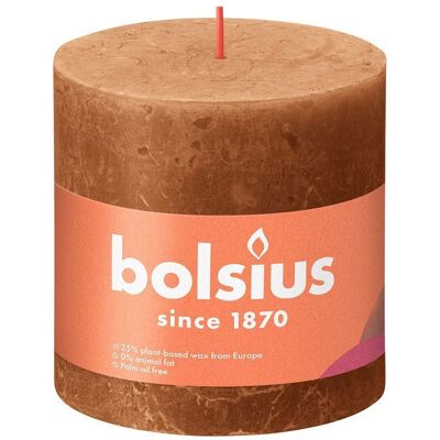 Bolsius Świeca Bryłowa Pieńkowa Rustykalna Słupek Rustic Shine 100/100 Mm 10 Cm - Korzenny Brąz Spice Brown Bolsius Świeca Bryłowa Pieńkowa Rustykalna Słupek Rustic Shine 100/100 Mm 10 Cm - Korzenny Brąz Spice Brown