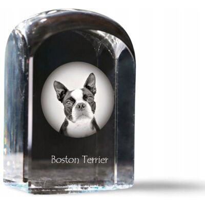 ART Boston Terrier, Boston Bull Terrier - kryształowa kostka ze zdjęciem, zdjęc ART Boston Terrier, Boston Bull Terrier - kryształowa kostka ze zdjęciem, zdjęc