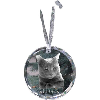 Chartreux - kryształowa bombka ze zdjęciem, zdjęcia kota w krysztale, personalizowana zawieszka na choinkę marki Art-Dog Chartreux - kryształowa bombka ze zdjęciem, zdjęcia kota w krysztale, personalizowana zawieszka na choinkę marki Art-Dog